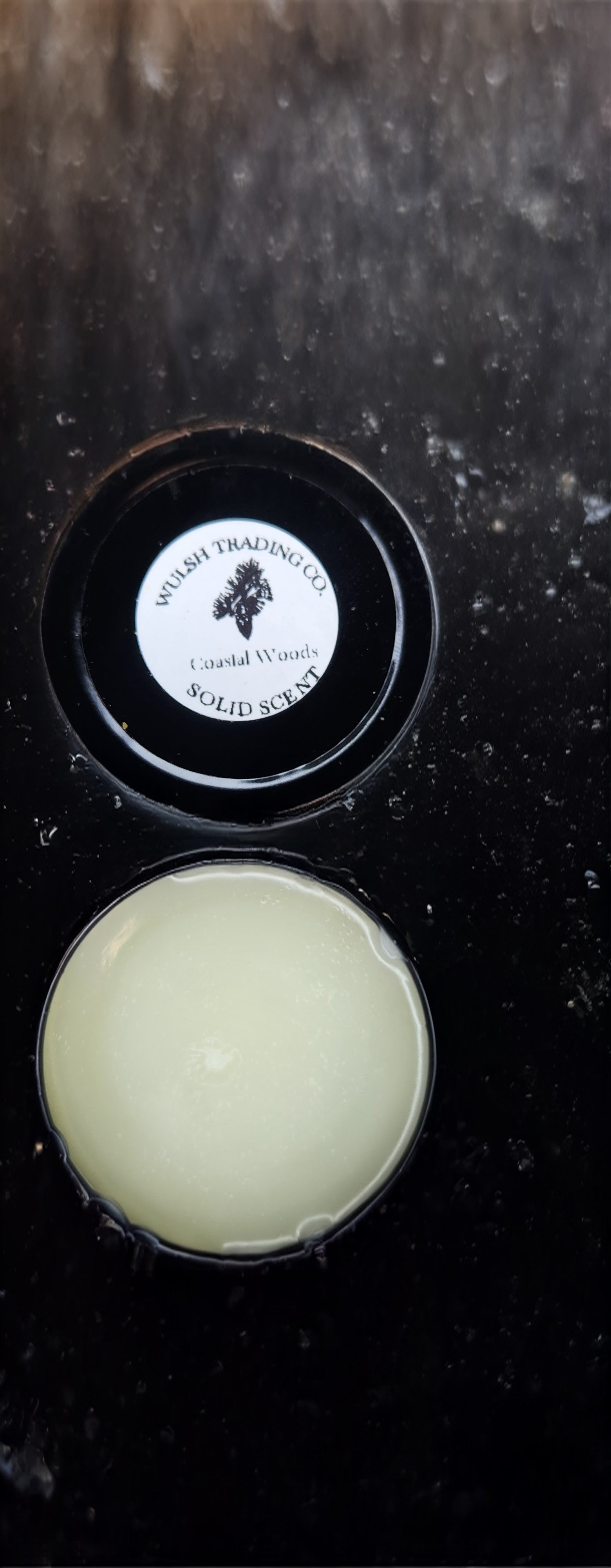 "coastal woods" Solid Cologne